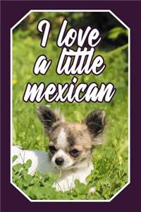 I Love a Little Mexican
