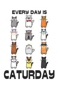 Every Day is Caturday