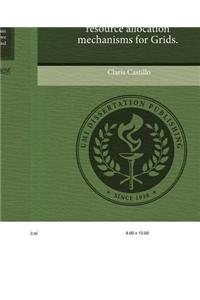 On the Design of Efficient Resource Allocation Mechanisms for Grids