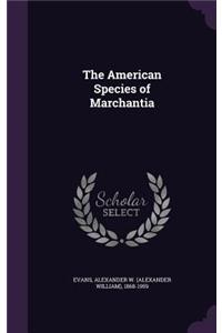 American Species of Marchantia