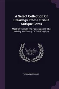 Select Collection Of Drawings From Curious Antique Gems
