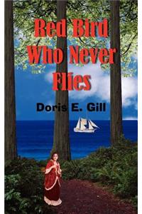 Red Bird Who Never Flies