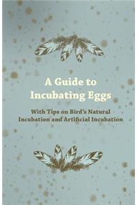 Guide to Incubating Eggs - With Tips on Bird's Natural Incubation and Artificial Incubation