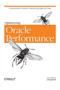 Optimizing Oracle Performance