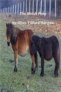 The Welsh Pony