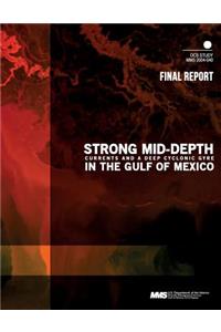 Strong Mid-Depth Currents and a Deep Cyclonic Gyre in the Gulf of Mexico