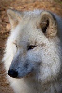 Wolf Portrait Journal