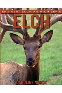 Elch