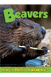 Beavers