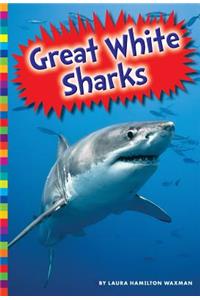 Great White Sharks