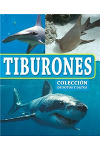 Tiburones