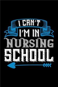 I Can't I'm In Nursing School