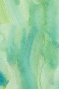 2020 Daily Planner Green Watercolor Design 388 Pages