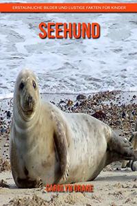 Seehund