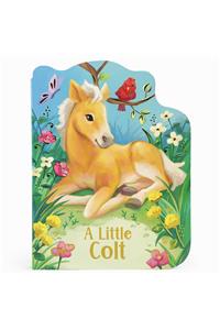 A Little Colt