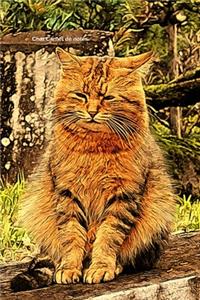 Chat Carnet de notes