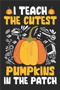 I Teach the Cutest Pumpkins in The Patch