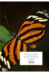 This Is My Butterfly Year