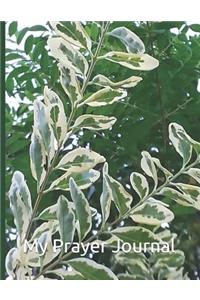 My Prayer Journal