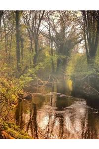 Landscape Nature Forest Picture Photography Land Natural Landscapes Health