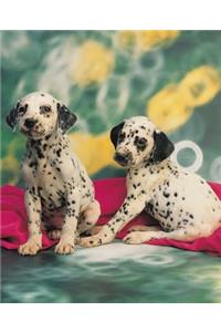 School Composition Book Dalmatian Puppies Dog Photo 200 Pages