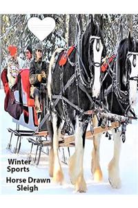 Winter Sport Horse Drawn Sleigh