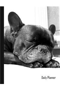 Daily Planner: 2019 - 2020 Planner French Bulldog Puppy Dog Cover January 19 - December 19 Writing Notebook Diary Journal Datebook Calendar Schedule Plan Days, Set Goals & Get Stuff Done