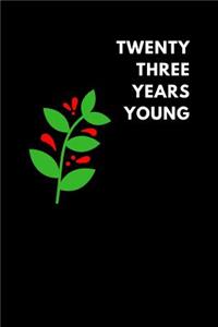 Twenty Three Years Young