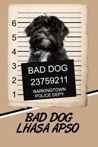 Bad Dog Lhasa Apso