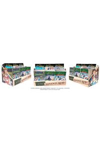 Magic Tree House 36-Copy Sports-Themed Counter Display