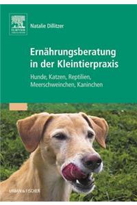 Ernährungsberatung in Der Kleintierpraxis