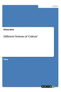 Different Notions of 'Culture'