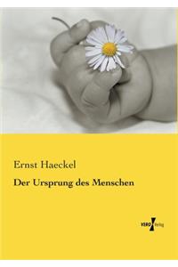 Ursprung des Menschen