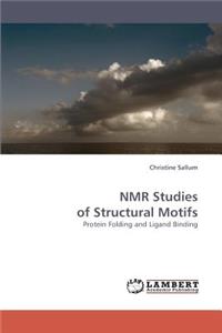 NMR Studies of Structural Motifs