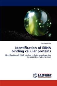 Identification of Ebna Binding Cellular Proteins