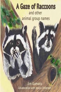 Gaze of Raccoons