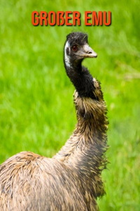 Großer Emu