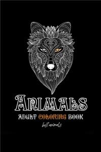 Animals adult coloring book best animals