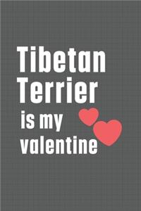 Tibetan Terrier is my valentine