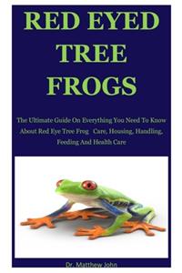 Red Eyed Tree Frogs