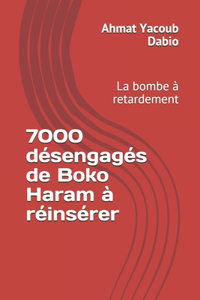 7000 désengagés de Boko Haram à réinsérer