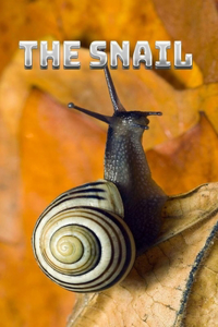 Snail