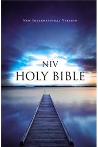 NIV, Value Outreach Bible, Paperback
