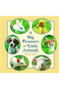 Big Treasury of Little Animals
