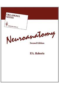 Neuroanatomy