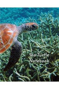 Sea Turtle Notebook