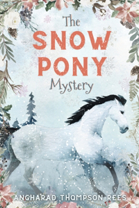 Snow Pony Mystery