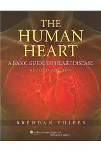 Human Heart