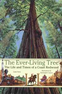 The Ever-Living Tree