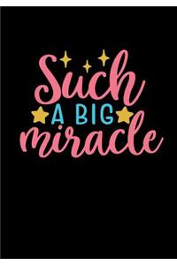 Such A Big Miracle